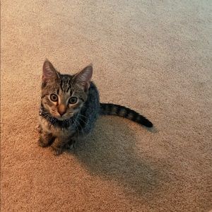 Meet your Posher, Steph